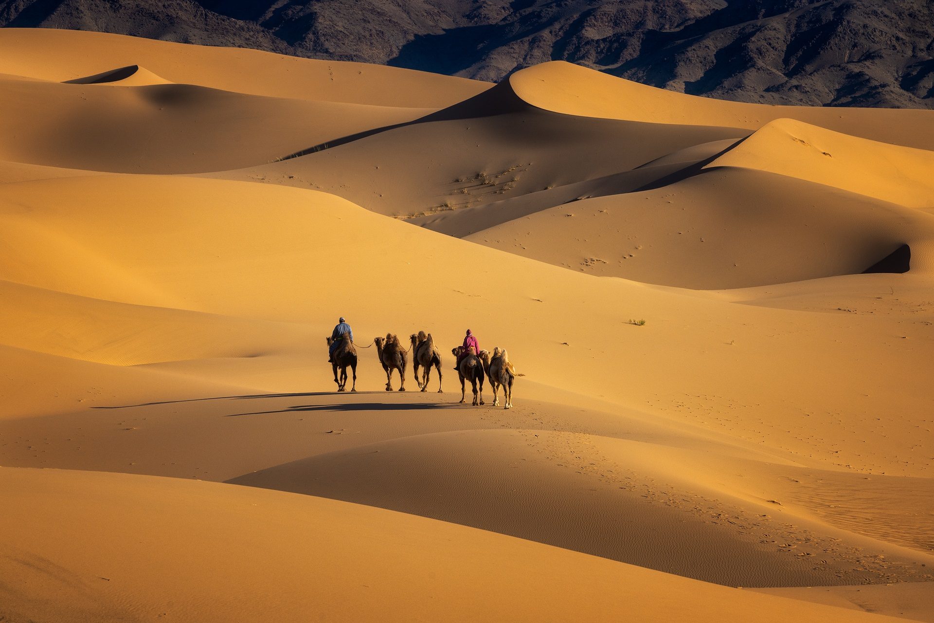 Khongor sand dune