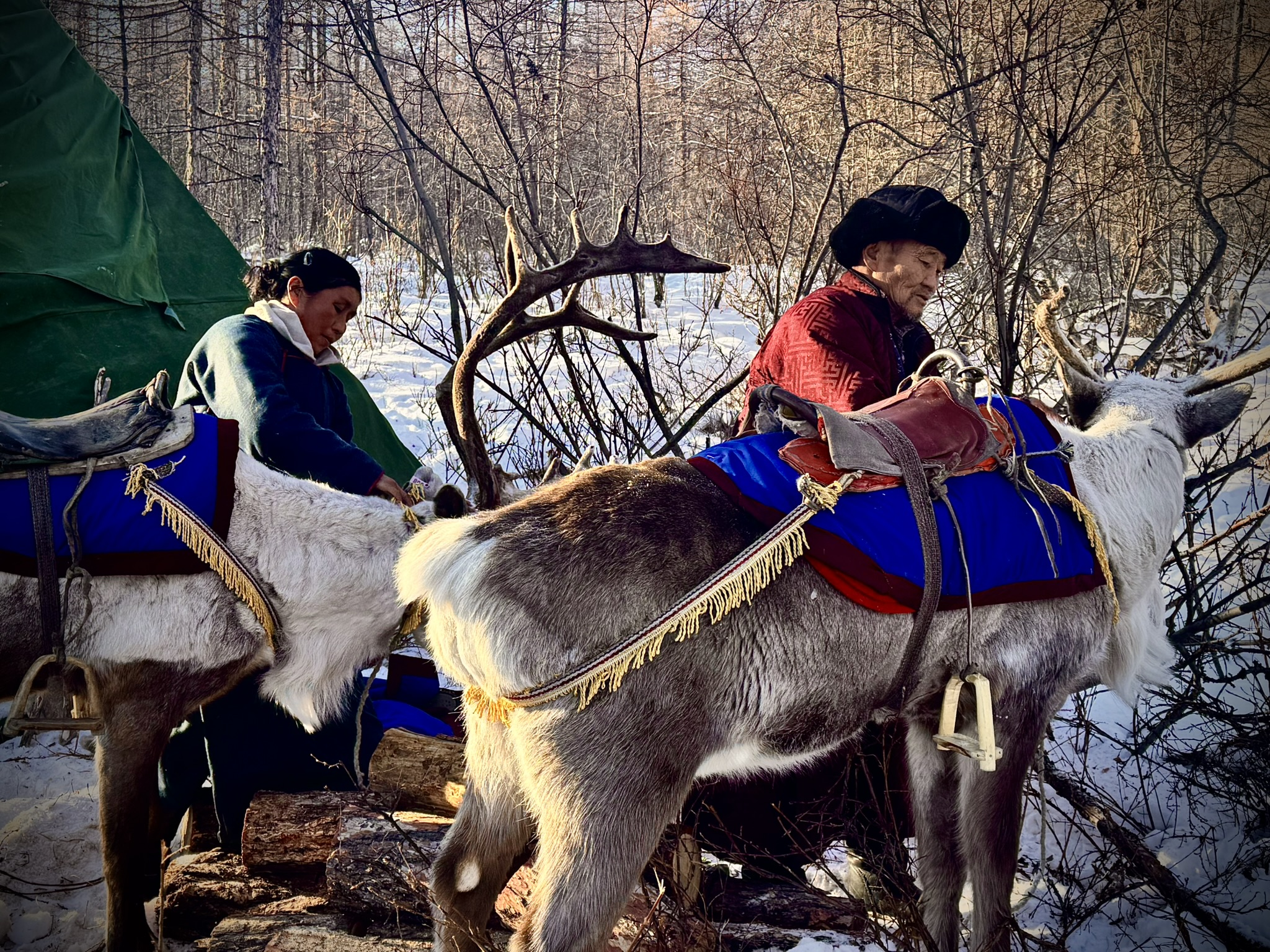 Reindeer herders