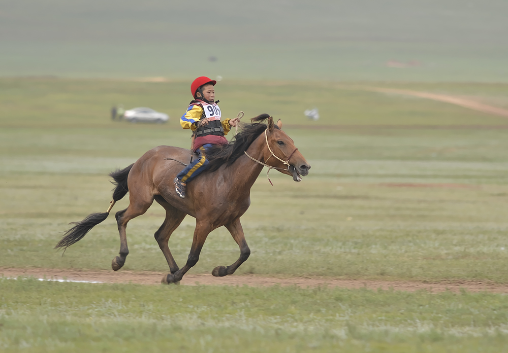 Horse racing