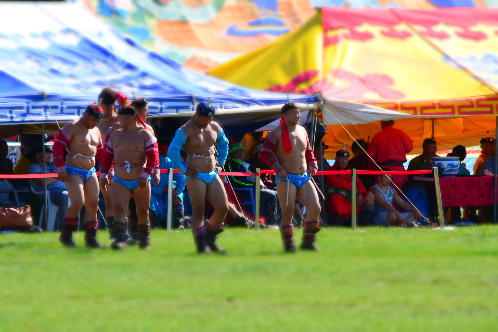 DSC 0982