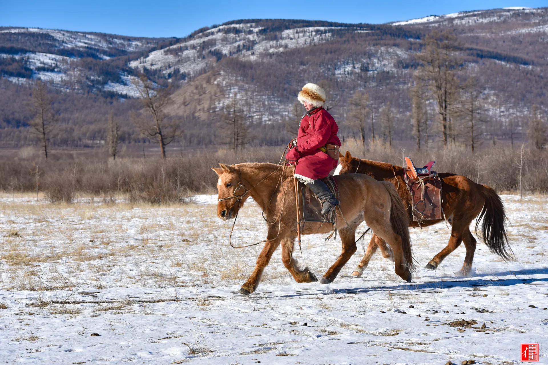 Horseback riding in winter