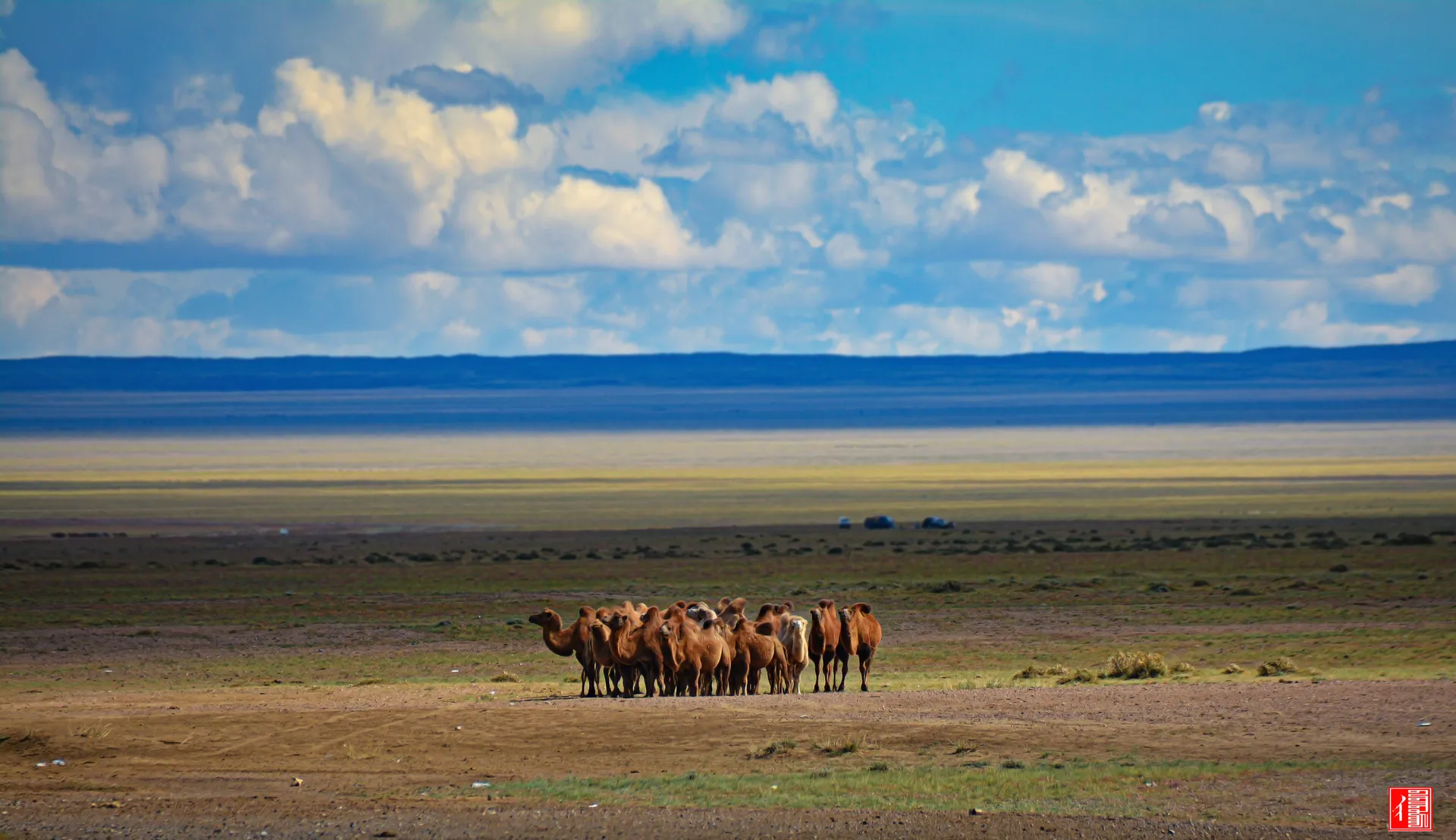 DSC2766 Mongolian steppe