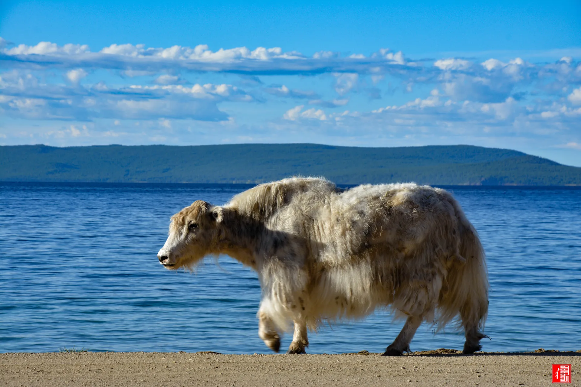 Khuvsgul Lake tour in northern Mongolia