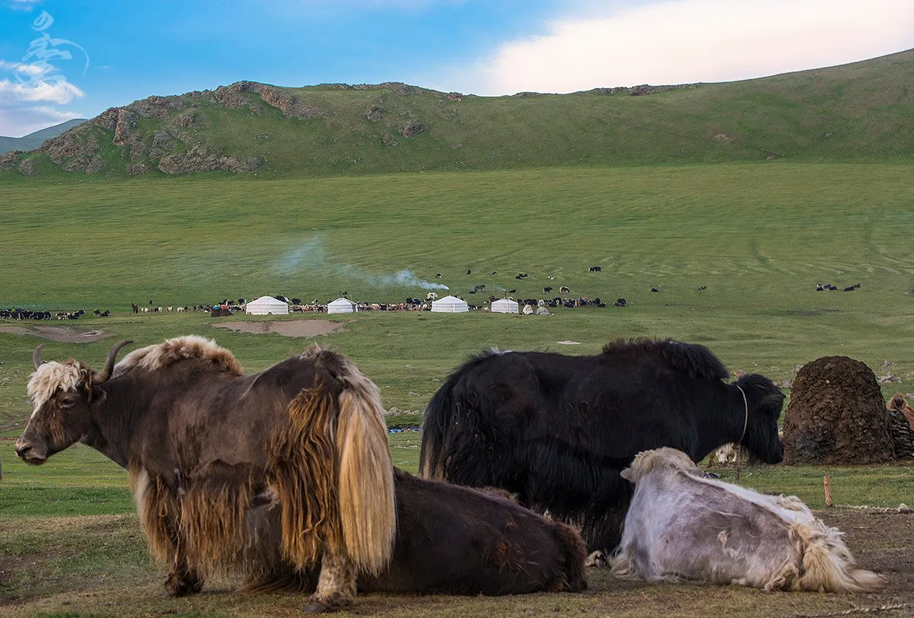 Nomad family Travel through Mongolia after the Nomads World Cultural Festival