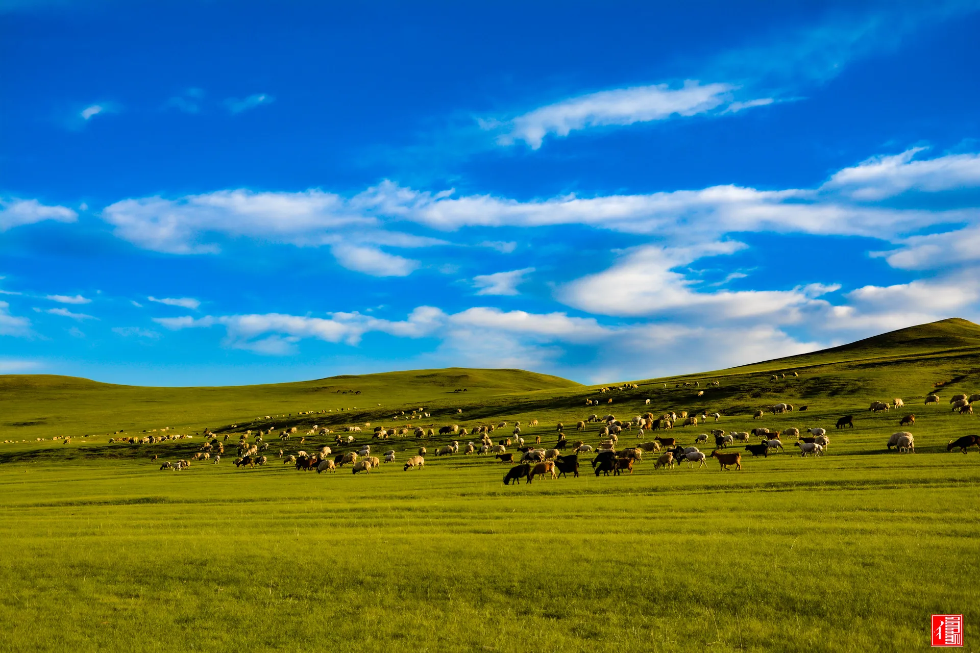 Mongolia Mongolia