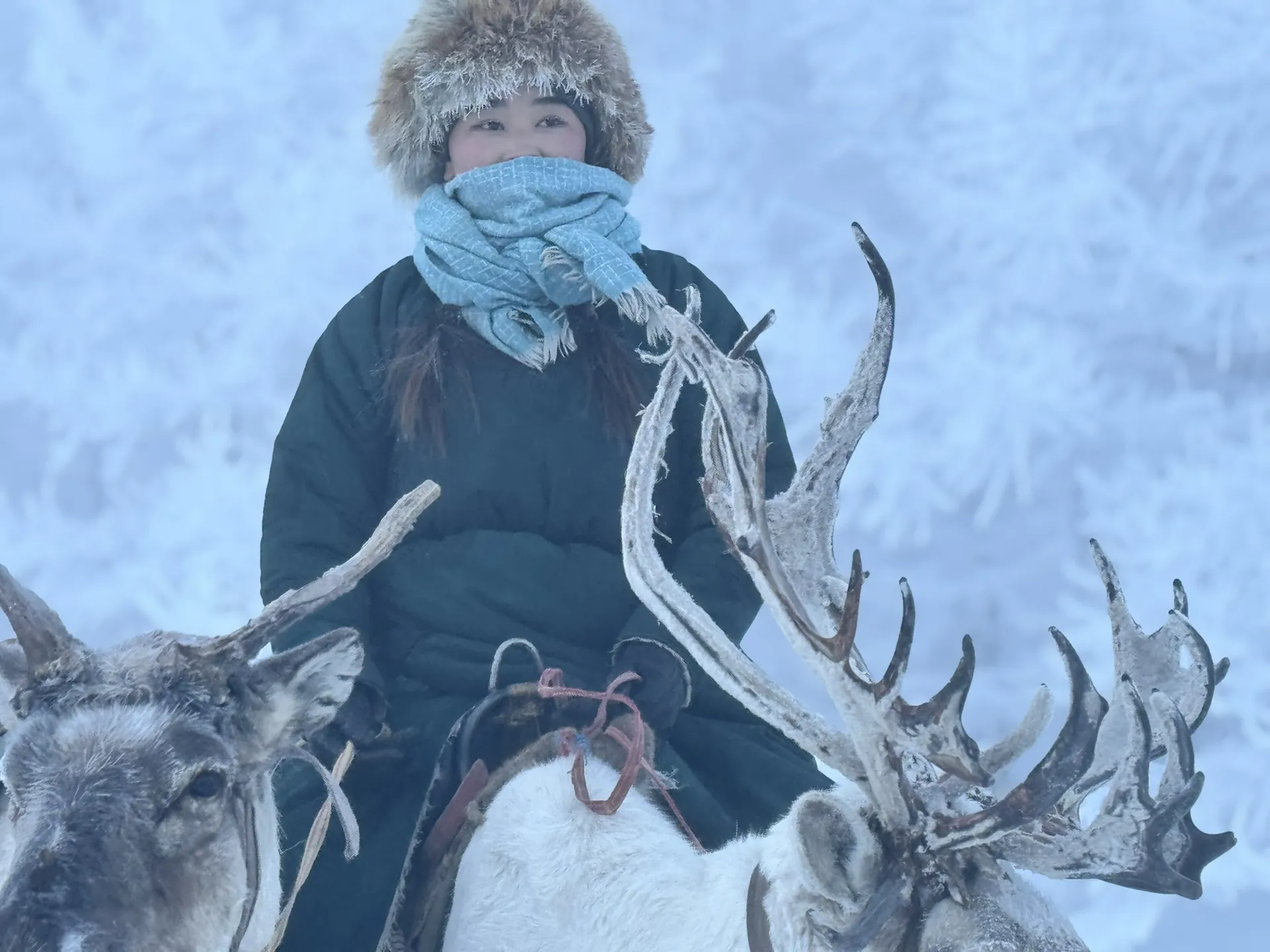 Reindeer herder Reindeer herder