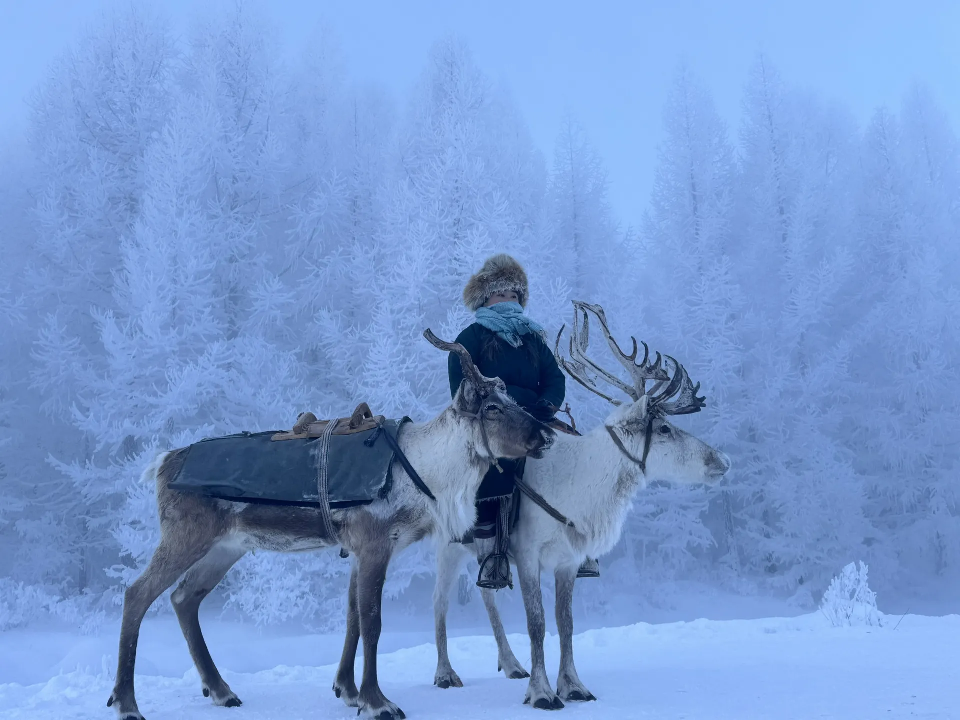 Winter reindeer herders in the Darkhad Valley of northern Mongolia