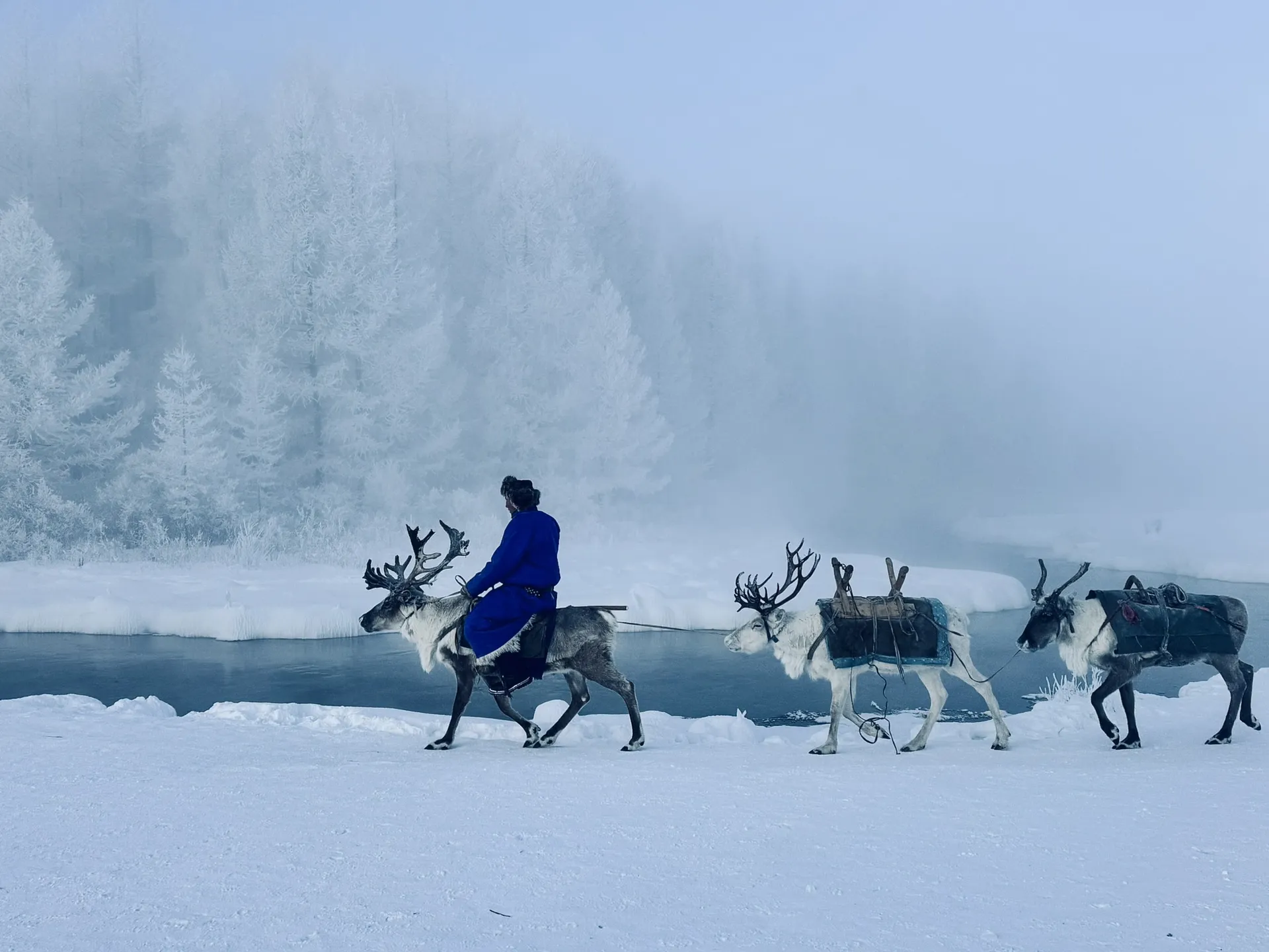 Reindeer herders in northern Mongolia during winter