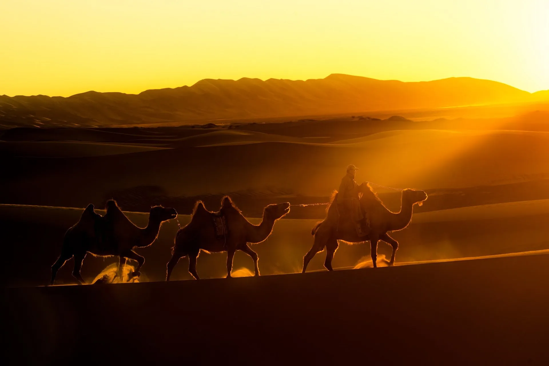 Private luxury Mongolia tour in the Gobi Desert