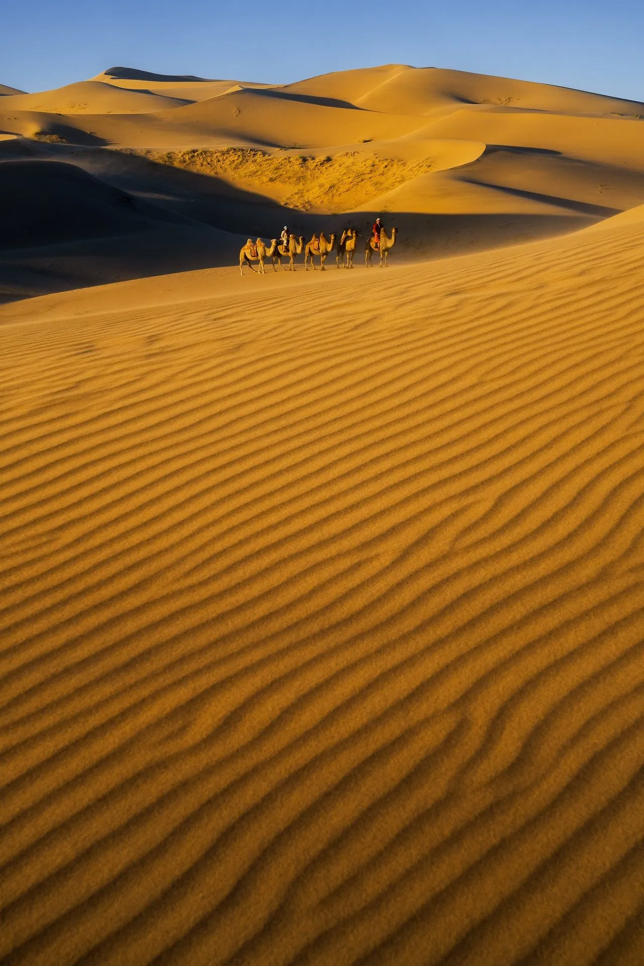 Khongor sand dune Khongor sand dune