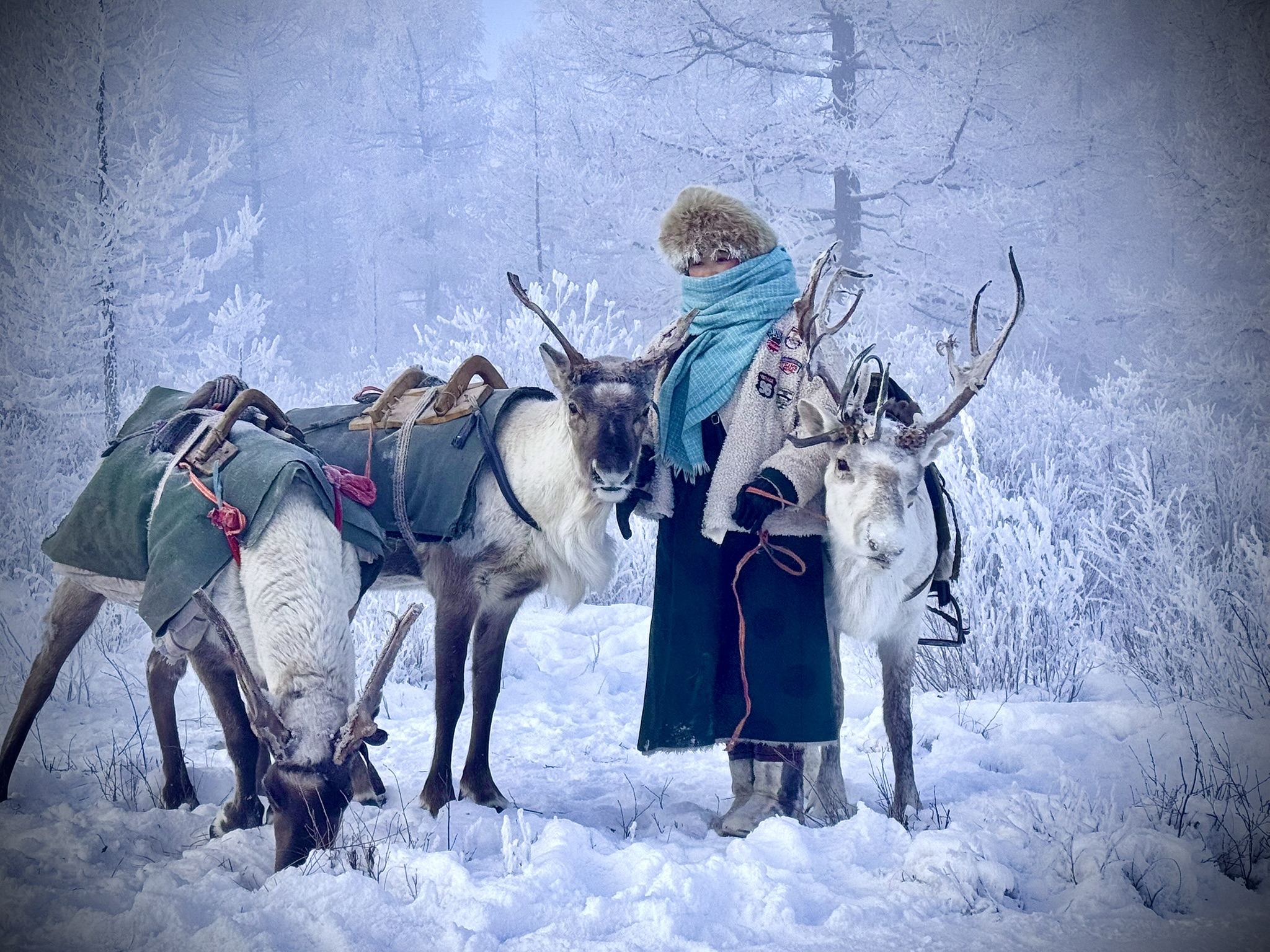 From the Northern Wilderness Back to the Capital — WINTER REINDEER & DARKHAD VALLEY EXPEDITION