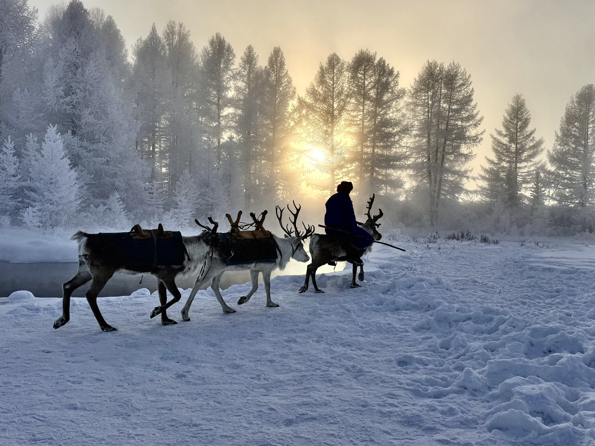 Until We Meet Again — WINTER REINDEER & DARKHAD VALLEY EXPEDITION